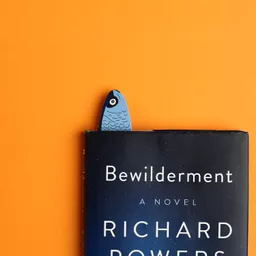 717995178613.jpg?date-modified=2025-12-02