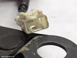 9d45981e-36f8-46af-b7c3-7ead0404ea77.jpeg?