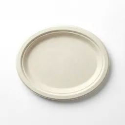 _0000s_0001_10_ x 7_ Oval Bagasse Plate.jpg
