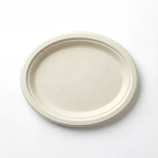 _0000s_0001_10_ x 7_ Oval Bagasse Plate.jpg