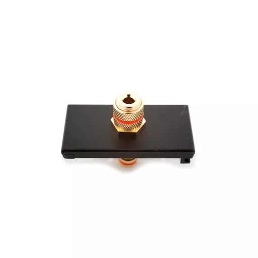 rsz_0_800_09285_black_speaker_red_binding_post_euro_module.jpg?