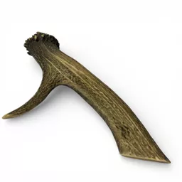 Natural Antler Pick 2.jpg