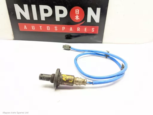 825e9993-509a-437e-b06f-c80b35fbfe58.jpeg?