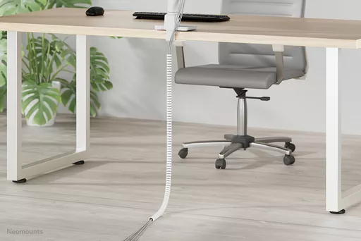 53c1g_cDnEu2jFqfjRXiMA.c-r.jpg?