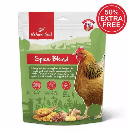 Nature's Grub Spice Blend with Probiotics (500g + 50% extra free)