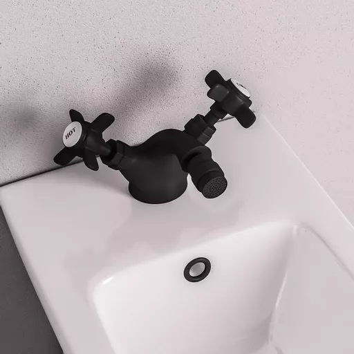 Haymarket Bidet Mono tap - Black
