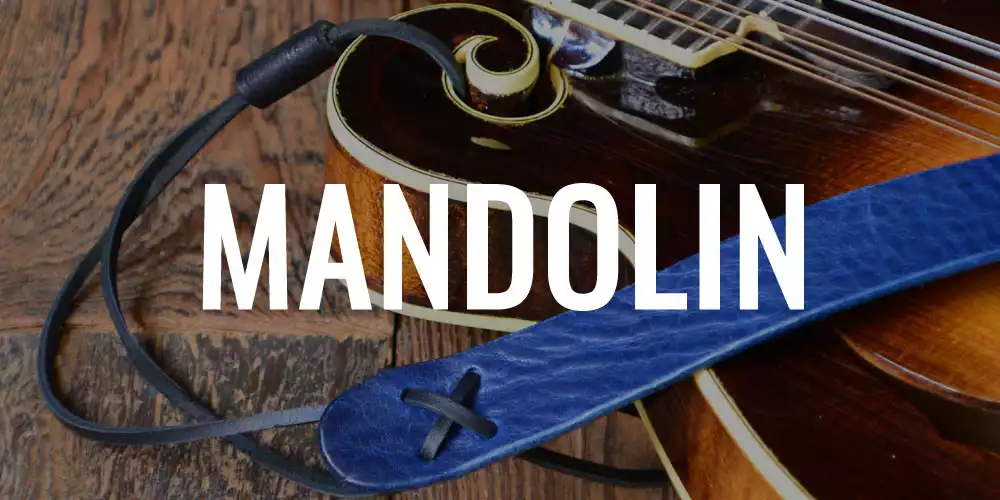 MANDOLIN 1 copy.jpg