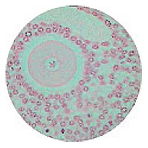 FINHC1440680.png