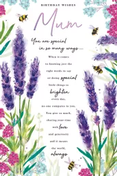 IT394503.jpg
