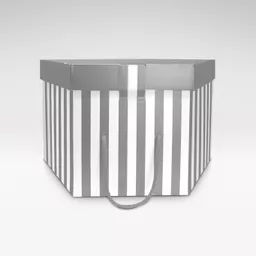 5301102 Silver and white corrugated cardboard hat box with matt lamination.png
