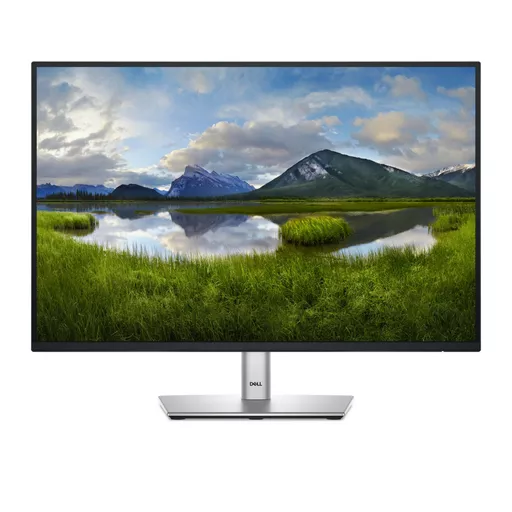 DELL P Series P2425E computer monitor 61.1 cm (24.1