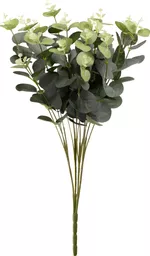 IT379357_1.jpg