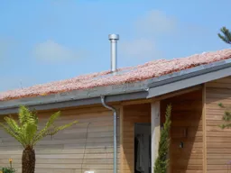 GrufeKit GrufeGuard Installed on Green Roof.jpg
