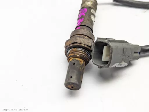 3e3f04a9-f44c-443b-9ff3-c69fd77582dd.jpeg?