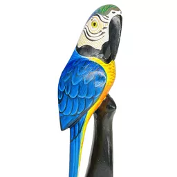 South America VB 6.jpg