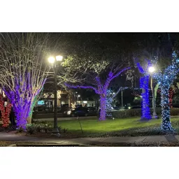 1722598993-48253100.jpg?