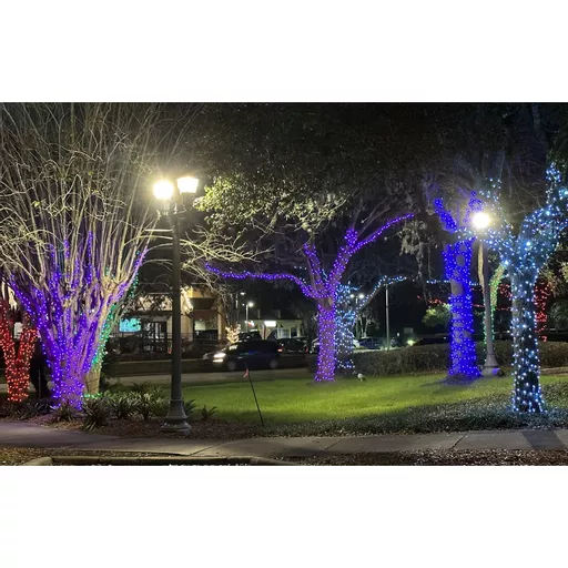 1722598993-48253100.jpg?