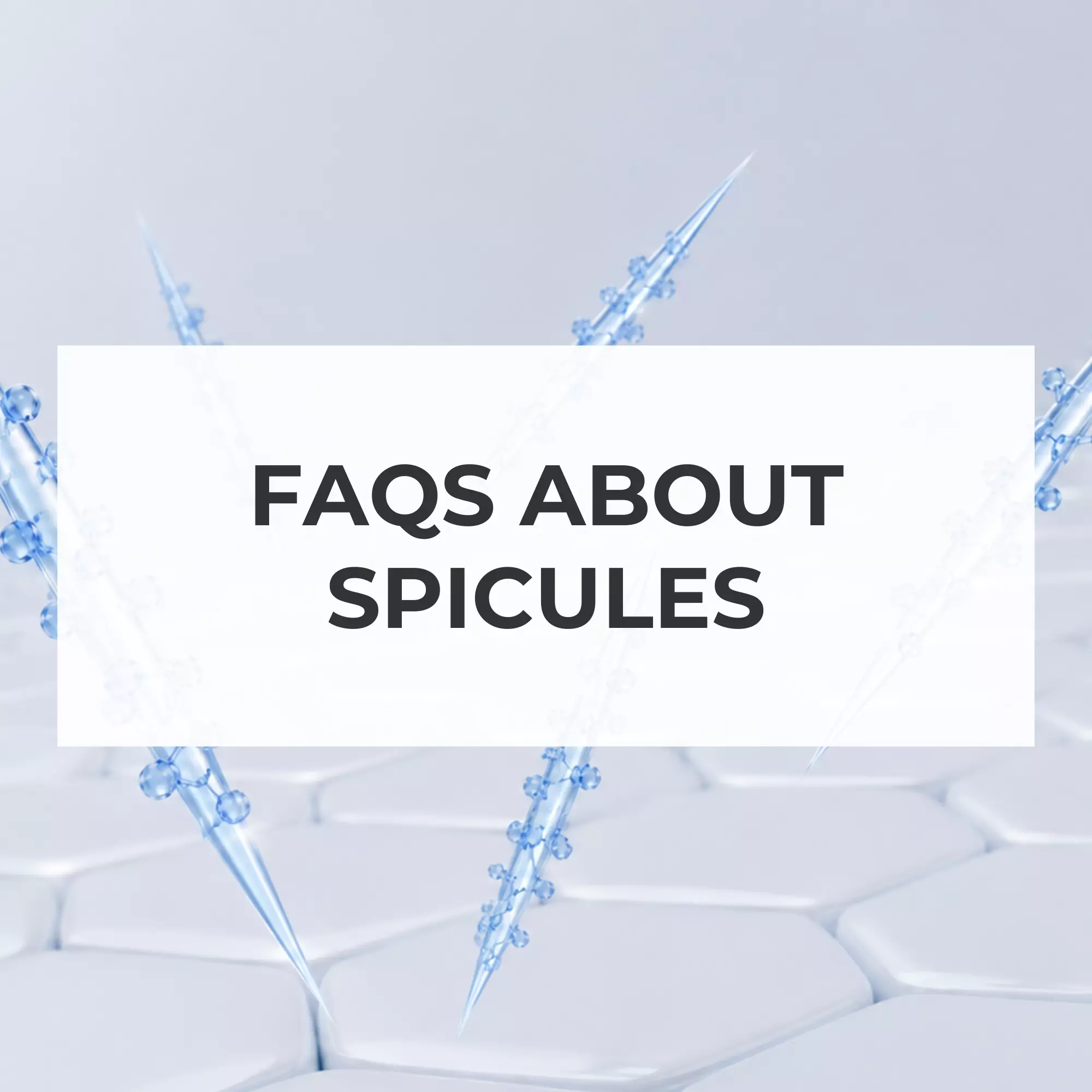 FAQs About Spicules