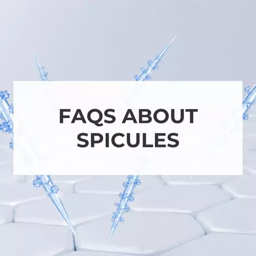 faqs about spiculesthumbnail .png