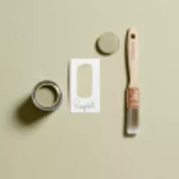 Ragdoll Brush Shot.webp