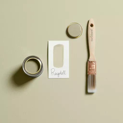 Ragdoll Brush Shot.webp