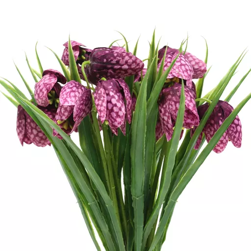 Fritilaria 1.jpg