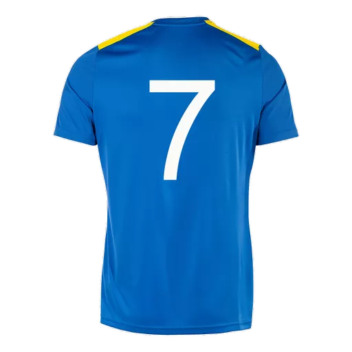 Gaddesden Champ VII Shirt Back.png