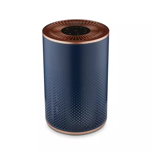 Portable Air Purifier