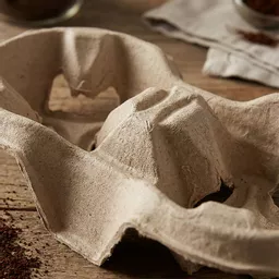 _0000s_0002_2-Cup Carry Tray Pulp.jpg