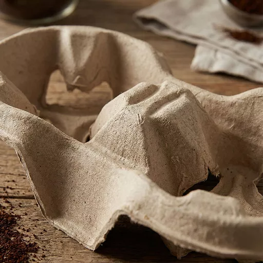 _0000s_0002_2-Cup Carry Tray Pulp.jpg