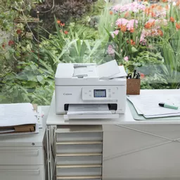 CPLpm6SMwk2auYie-_5YYw.c-r.jpg?