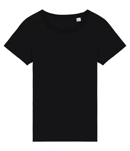 Native Spirit Ladies T-Shirt