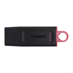 DTX256GB2 (Copy).png