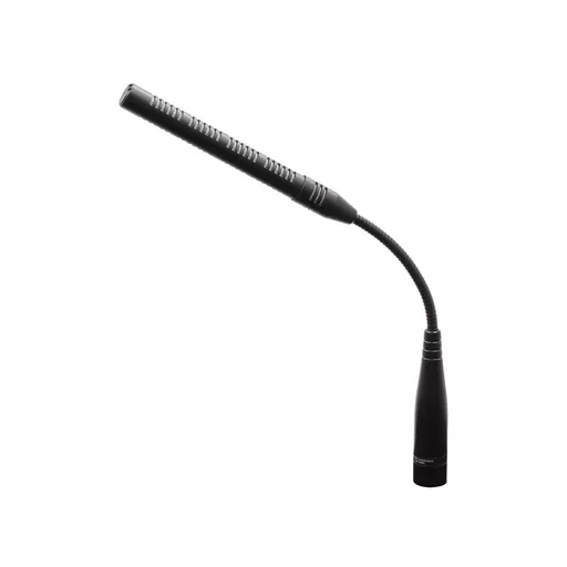 W Audio Gooseneck Microphone