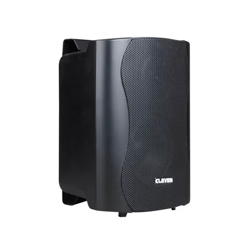 Clever Acoustics BGS25T 100v Black Speakers (Pair)