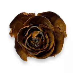 Cedar Rose 1.jpg