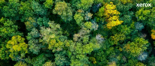 i96JYE9WZECvYqK83V9cCg.c-r.jpg?