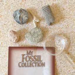 Fossils Archaeology Kit 1.jpg