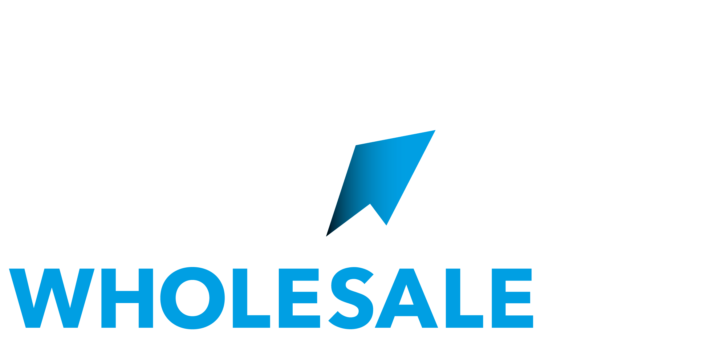 SIAN Wholesale Logo Web White.png