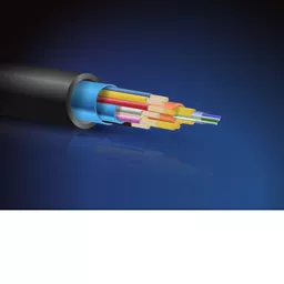 PJwtDu8UcUWsi0qlNw29tQ.c-r.jpg