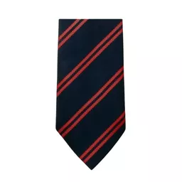 ChristChurchCathedralSchool_Tie.png