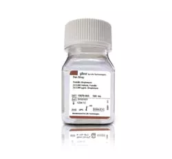 Penicillin-Streptomycin (5,000 U/mL), Gibco
