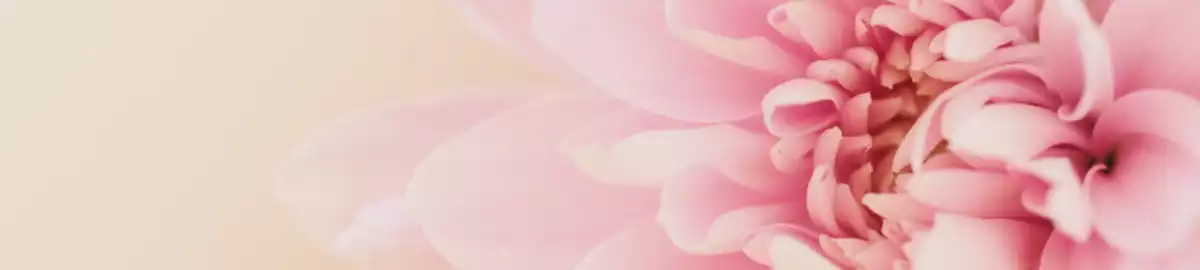 Flower background Billboard.png