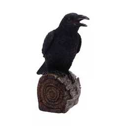 Ravens Cry (5).jpg