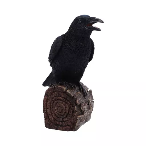 Ravens Cry (5).jpg