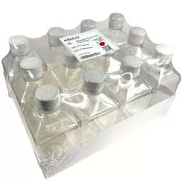 EDUCCH5206PK12.jpg