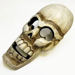 Skull Mask 2.jpg
