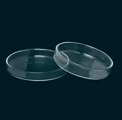 Petri Dishes Soda-lime glass 200mm PK 10