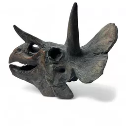 Dino Skulls 2.jpg