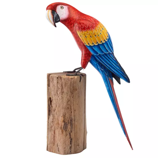 Red, Blue and Yellow Macaw